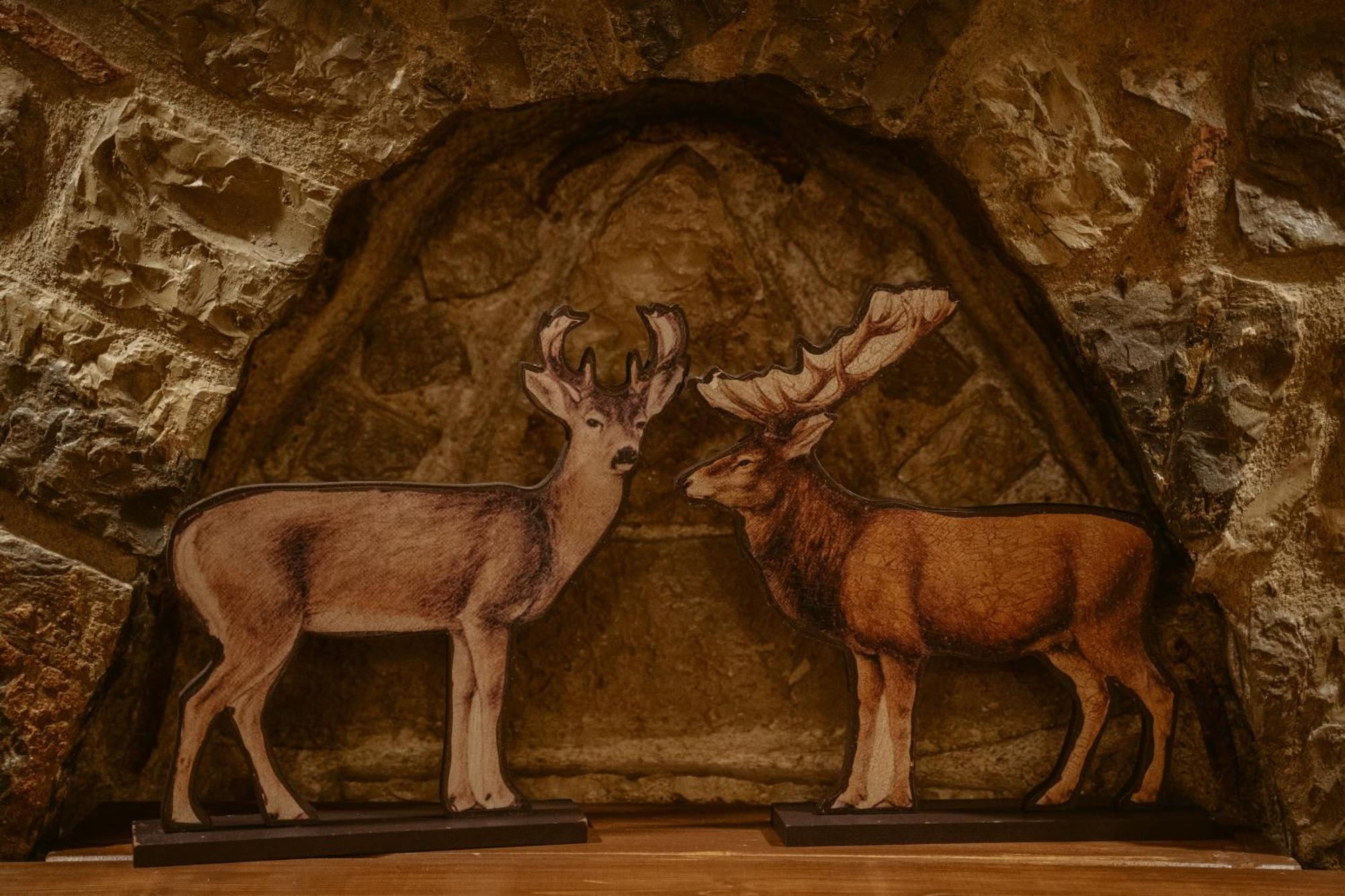 Afanos Guesthouse Arachova Pokoj fotografie